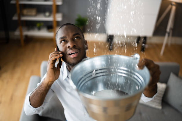 Best Water damage contractors near me  in Eatonville, FL
