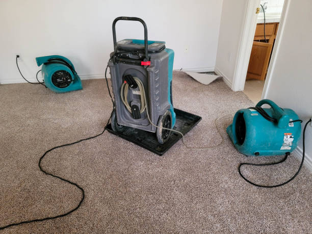 Eatonville, FL Water damage restoration Company