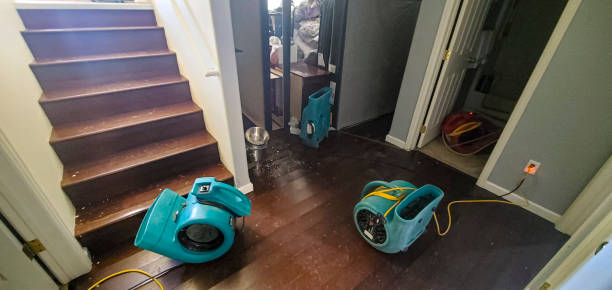 Carpet water damage restoration in Eatonville, FL