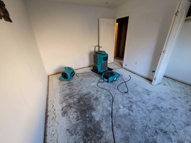 Best Fire Damage Restoration  in Eatonville, FL