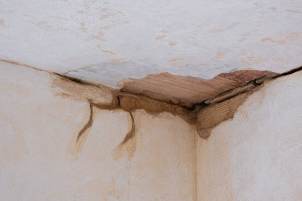 Best 24/7 water damage repair  in Eatonville, FL