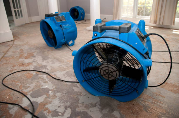 Best Water damage contractors near me  in Eatonville, FL