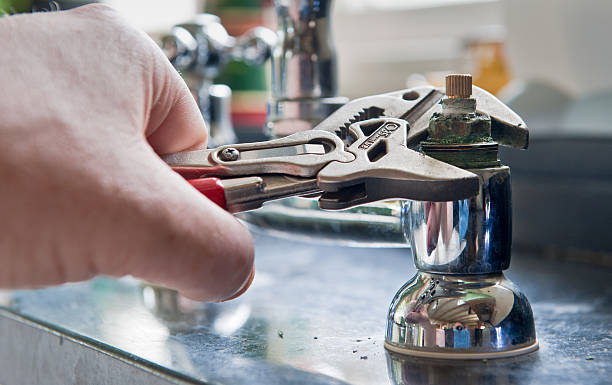 Best Mold removal after water damage  in Eatonville, FL