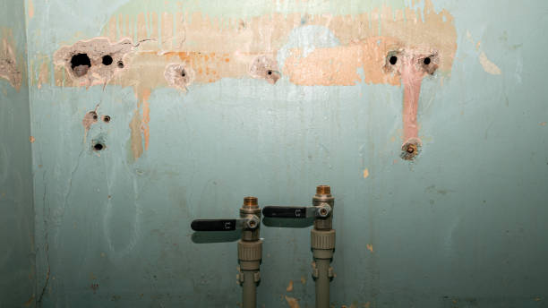  Eatonville, FL Water damage restoration Pros