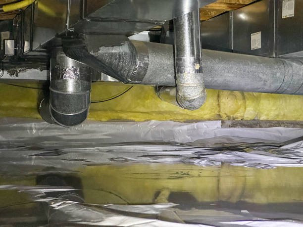 Best Emergency water extraction  in Eatonville, FL
