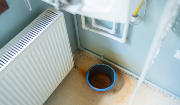 Best Water damage restoration near me  in Eatonville, FL