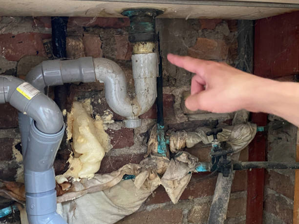  Eatonville, FL Water damage restoration Pros