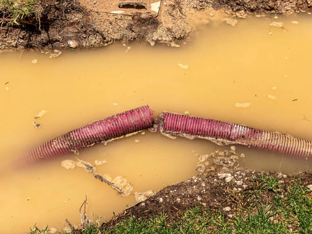 Best Residential water damage restoration  in Eatonville, FL