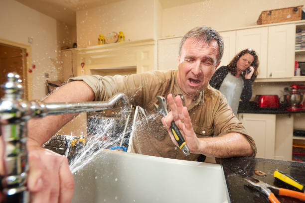 Best Professional water damage repair  in Eatonville, FL
